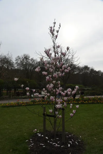 DSC_6926 (Large).JPG